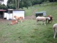 /album/fotogaleria/finca-general-jpg/